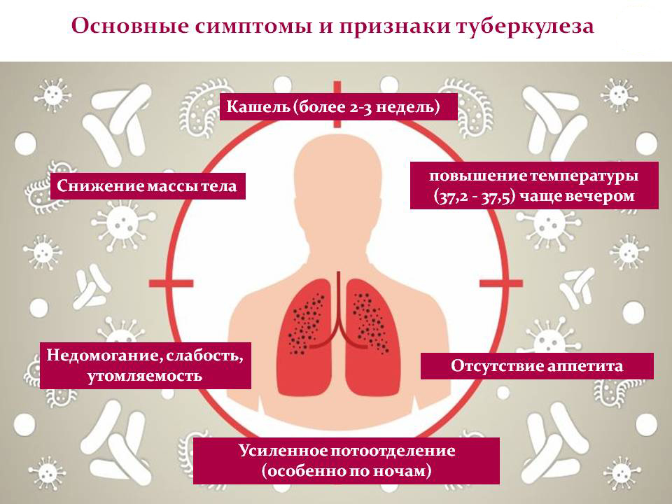 Какие симптомы туберкулеза у взрослых. Признаки первичного туберкулеза. Симптомы клинические проявления туберкулёза. Ранние признаки туберкулеза. Основные признаки туберкулеза.